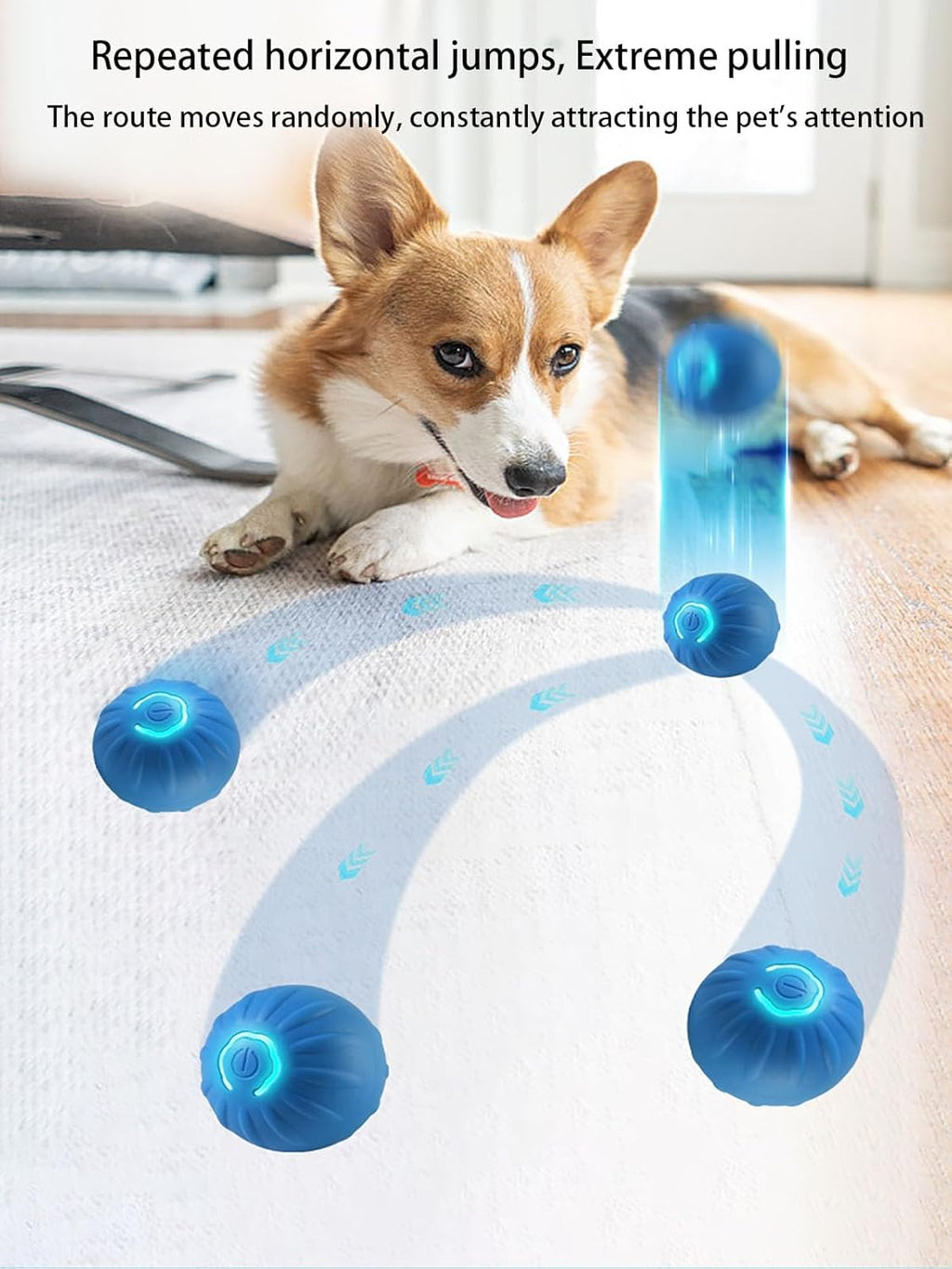 Interactive LED Dog Ball （2 inch）- USB Rechargeable Motion-Activated Rolling Toy for Small Dogs, Dogs Ball Play and Wicked Fun