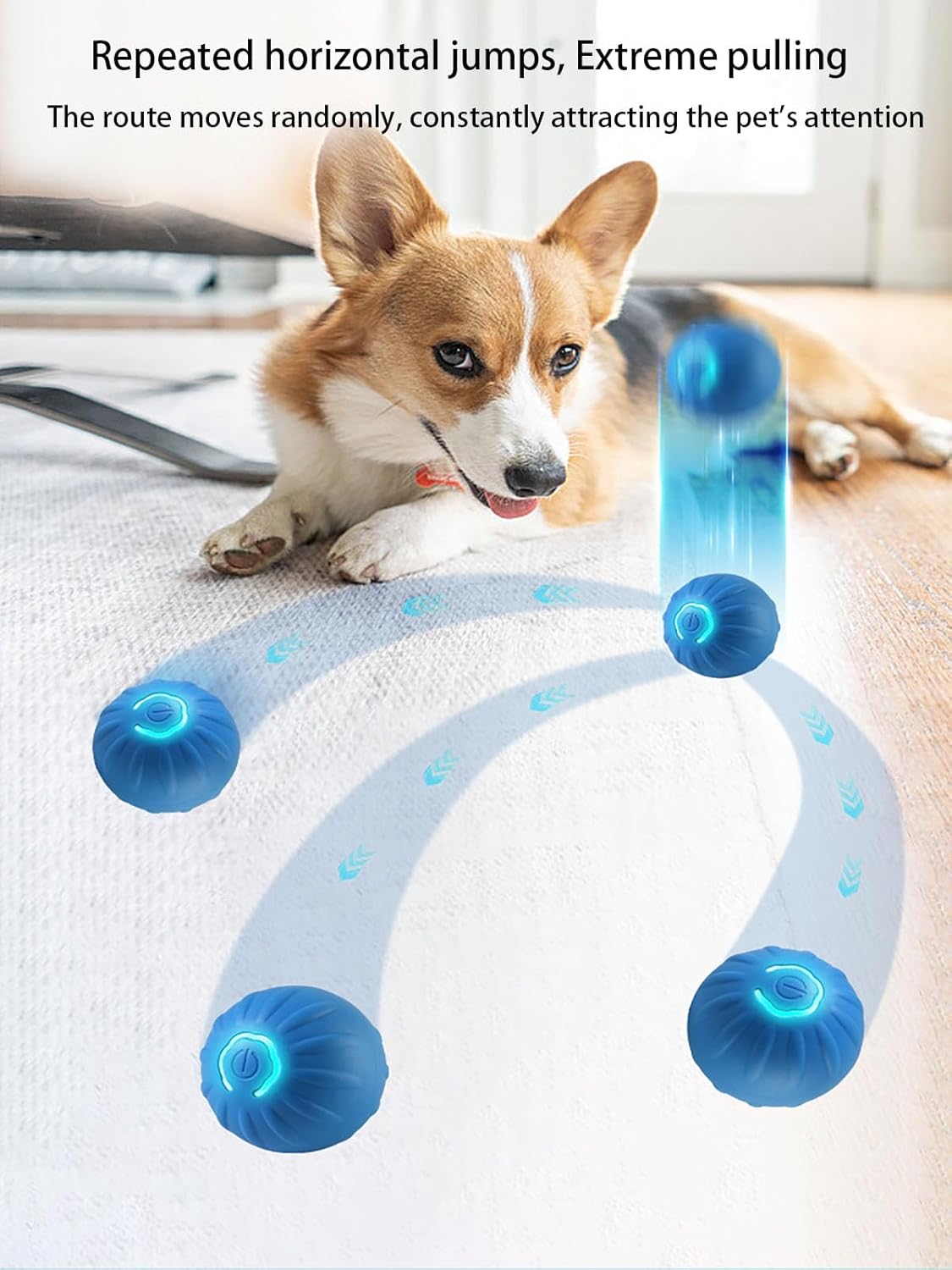 Interactive LED Dog Ball （2 inch）- USB Rechargeable Motion-Activated Rolling Toy for Small Dogs, Dogs Ball Play and Wicked Fun